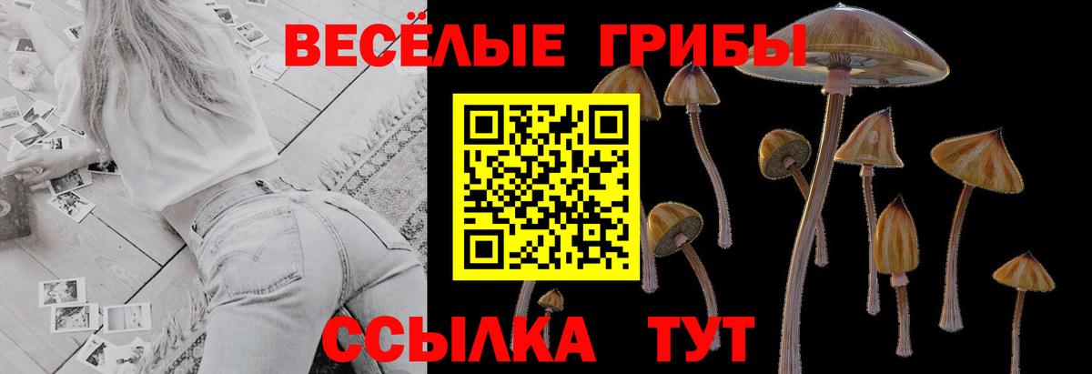 Псилоцибиновые грибы мухоморы  Вход с VPN  Урюпинск 